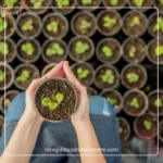 Apprendre à faire ses semis