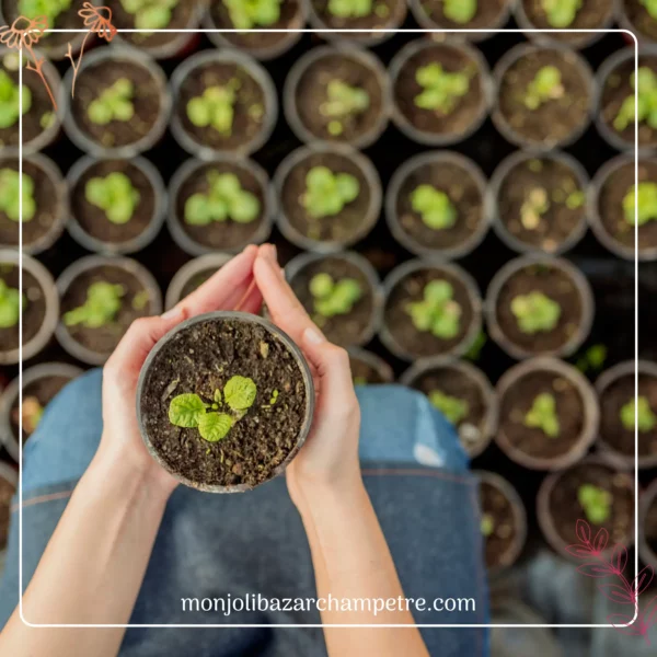 Apprendre à faire ses semis