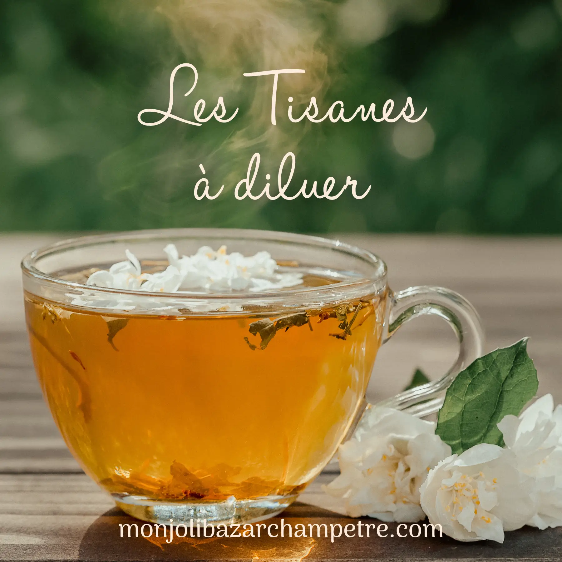 tisane bio normandie drect producteur