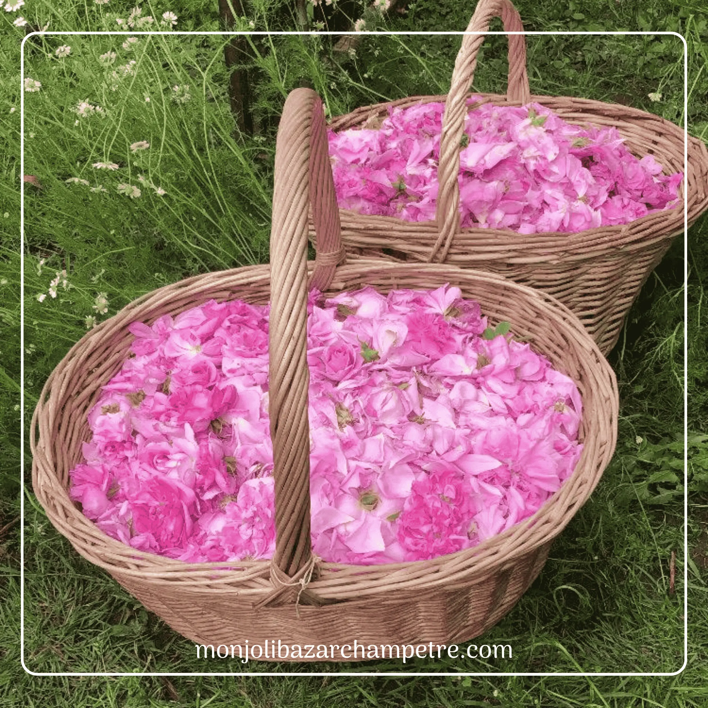 panier roses