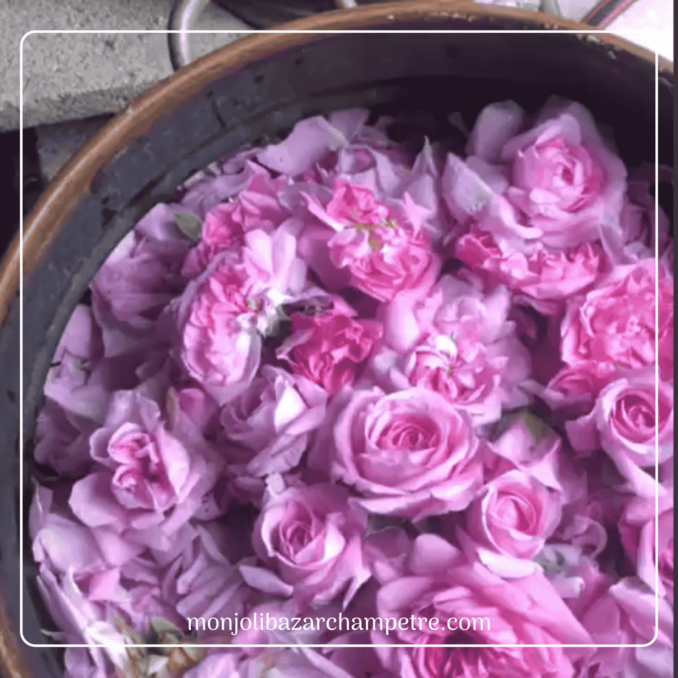 roses alambic