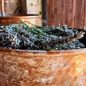 atelier créer sa tisane personnalisé 2