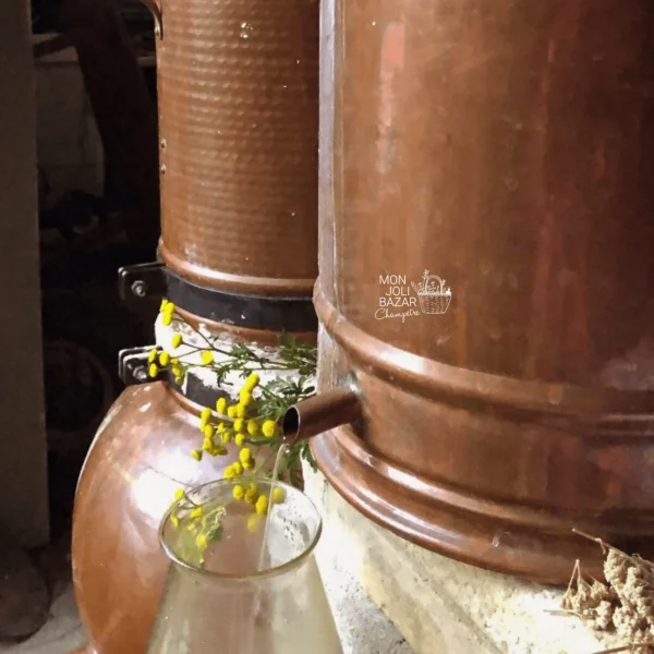 Créer sa tisane personnalisée