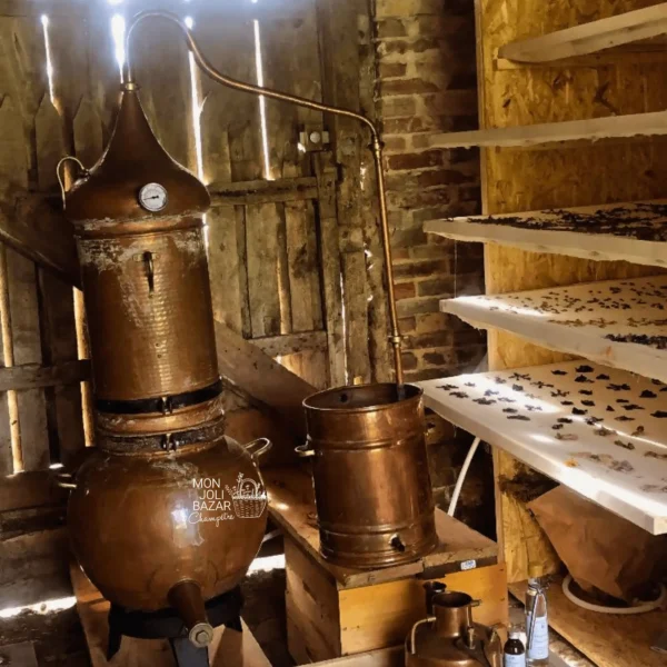 Rencontre avec l’alambic – spéciale Rose de Damas