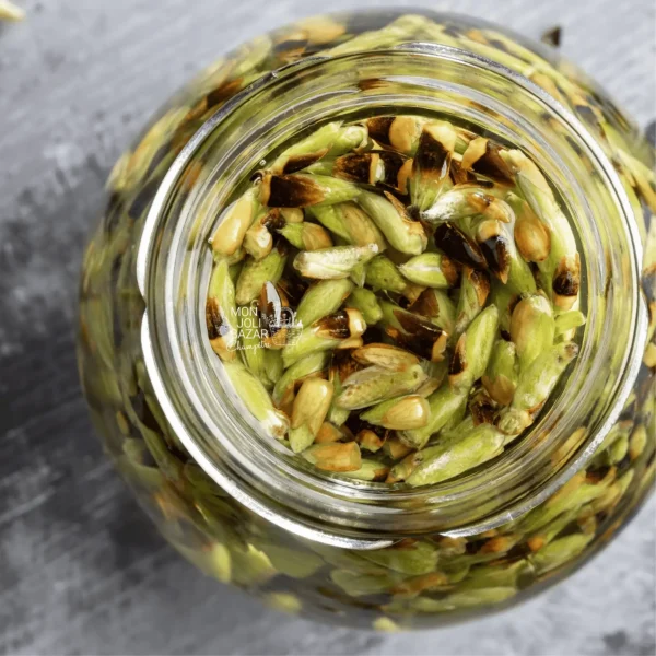 Balade nature : les arbres médicinaux
