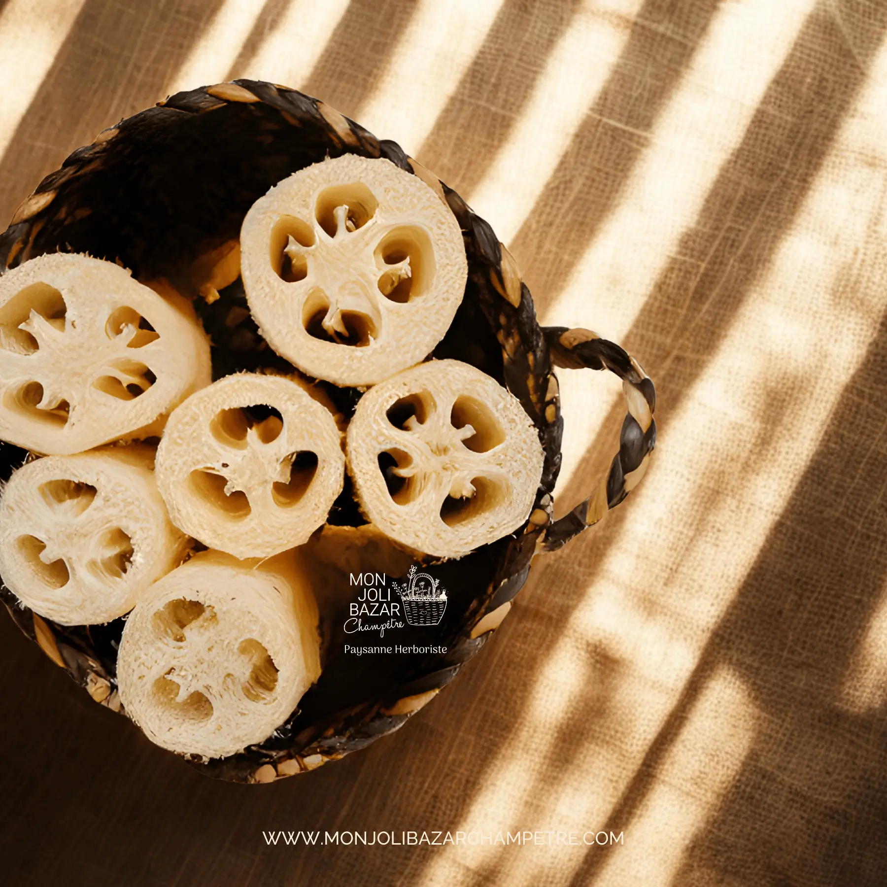 Éponge naturelle Luffa bio