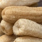 Éponge naturelle Luffa bio