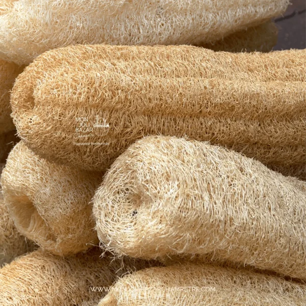 Éponge naturelle Luffa bio