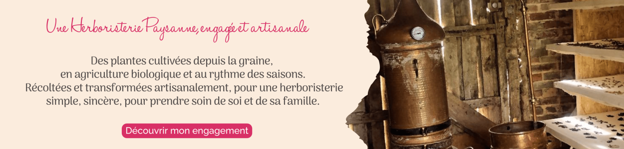 Une Herboristerie Paysanne, engagée et artisanale (2)