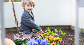 atelier enfant nature vexin normand