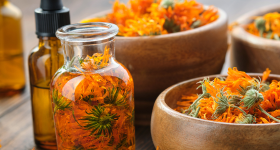 atelier herboristerie vexin normand